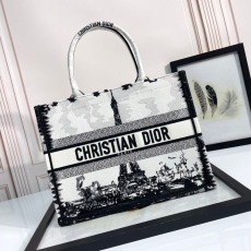 Christian Dior Shopping Bags